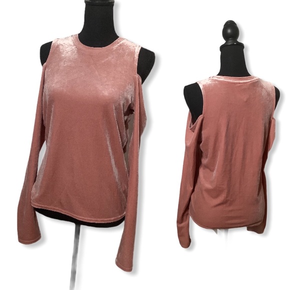 Bluenotes Tops - Bluenotes NWT -Sz L - velvet shimmer cold shoulder